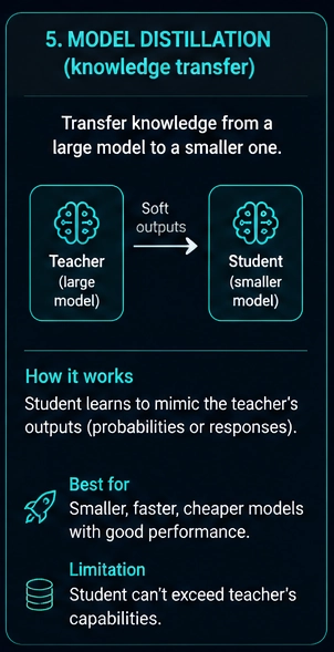 What Is Model Distillation?