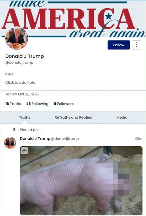 pig trump truth social